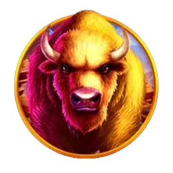 Buffalo
King